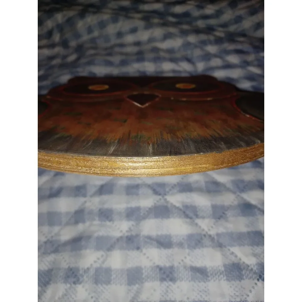 Owl Wood‎ Hand Painted Plaque 11